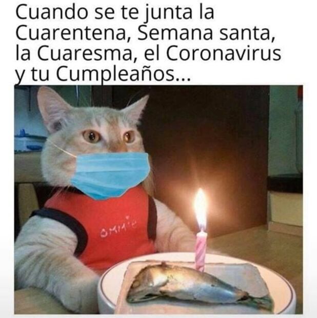 Lo más viral en memes por coronavirus y la cuarentena