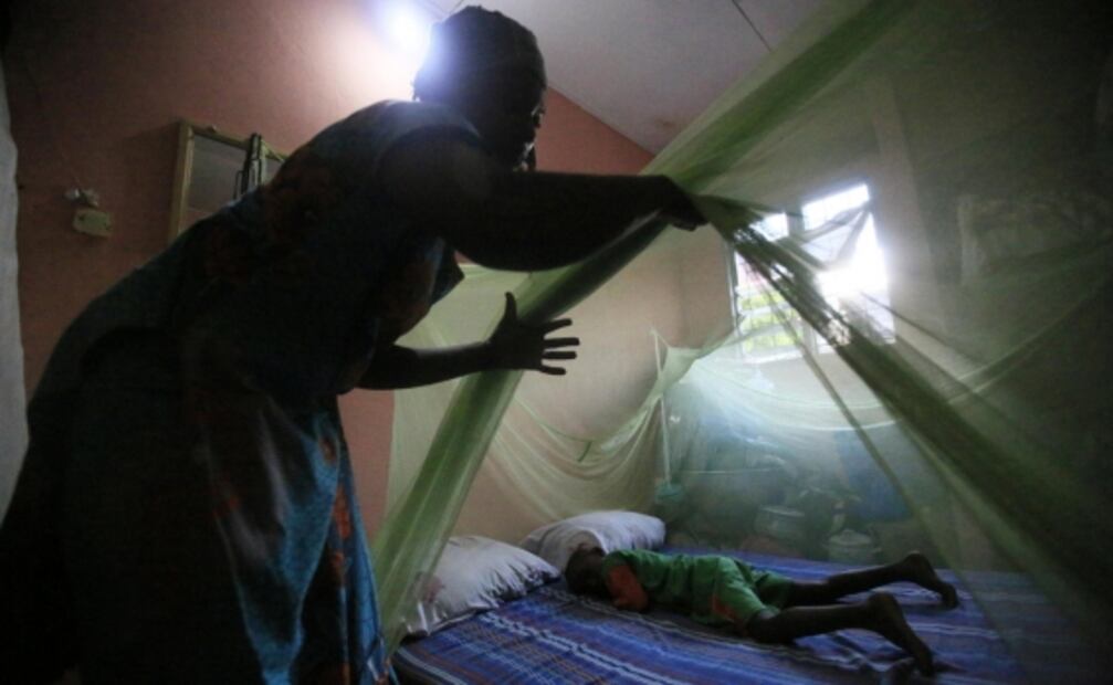 Casos de malaria pueden aumentar debido al cambio climático en África