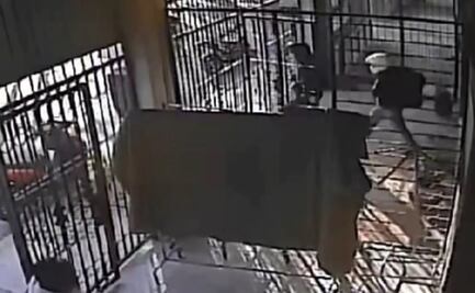 VIDEO: Captan a presuntos homicidas del exfiscal Elohim Díaz y un empresario en Metepec; sujetos continúan prófugos