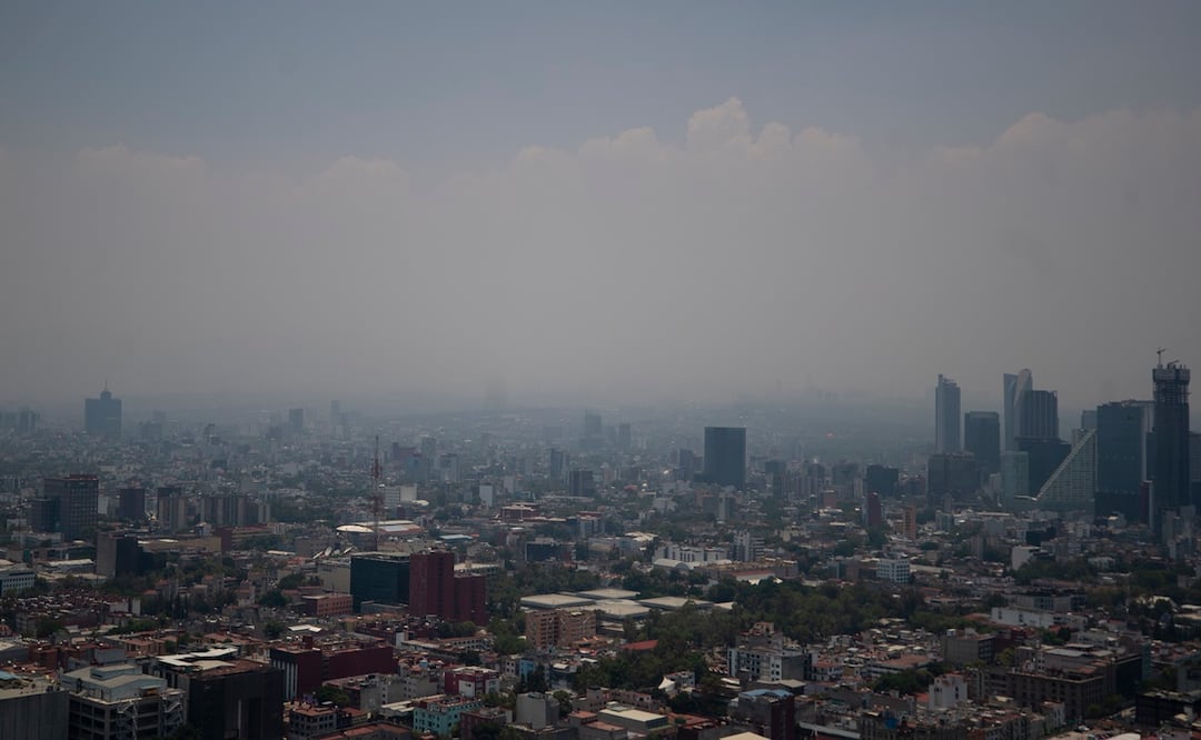 Contingencia ambiental atmosférica por ozono. Foto: EFE/Isaac Esquivel