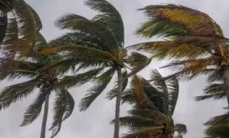 Frente frío 41 provoca rachas de viento de hasta 114 km/h en Veracruz; activan alerta por evento de Norte