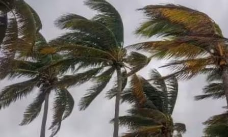 Frente frío 41 provoca rachas de viento de hasta 114 km/h en Veracruz; activan alerta por evento de Norte