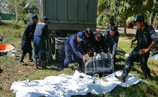 Limpian playas de Veracruz por hidrocarburo; recolectan 8 toneladas en el norte del estado