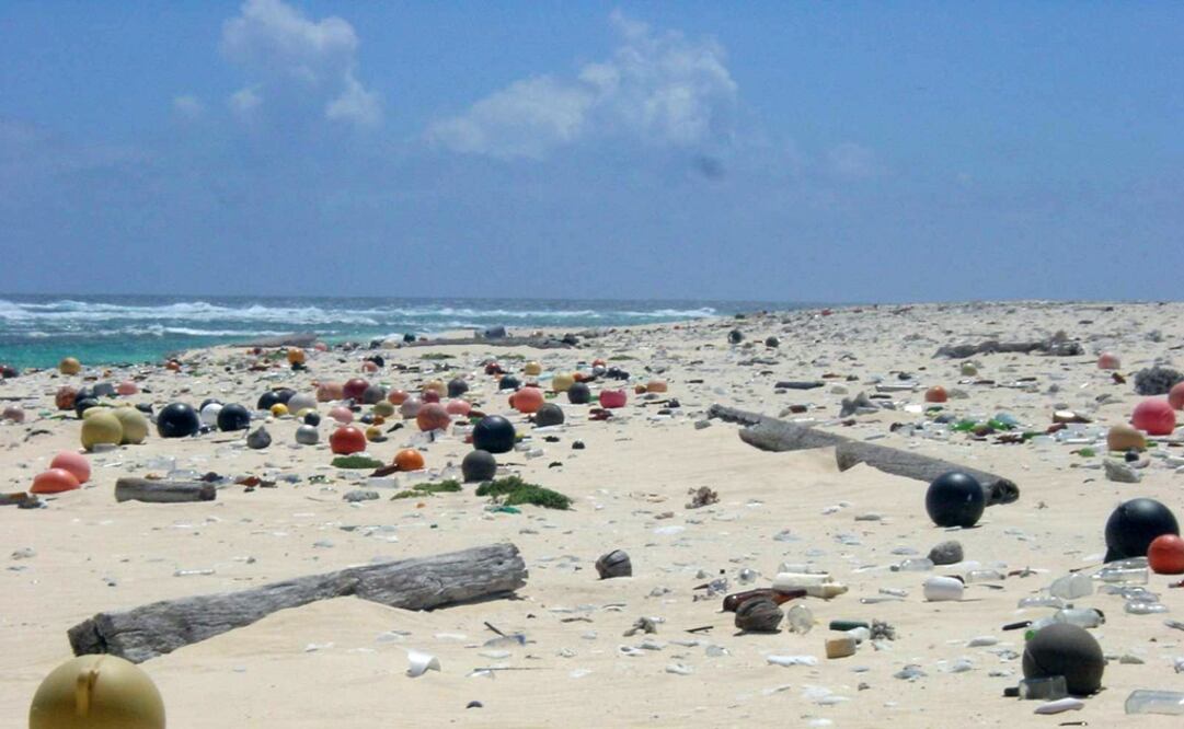 Un motivo de preocupación es la alta concentración de compuestos químicos contaminantes que acumulan los microplásticos. FOTO:Archivo/ EL UNIVERSAL
