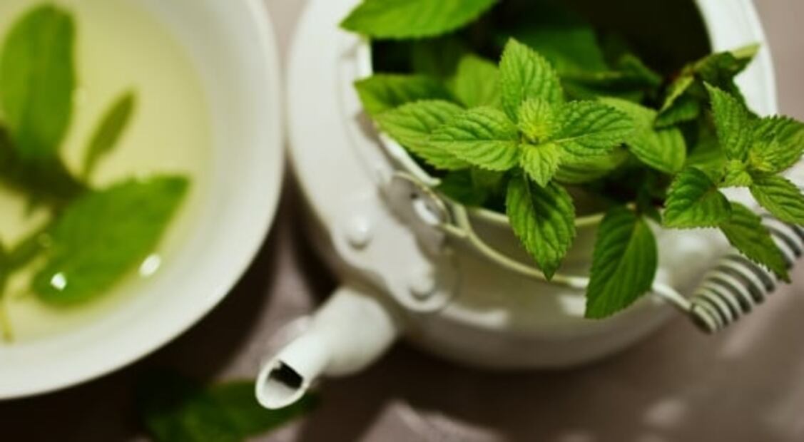 Beneficios de beber té de menta