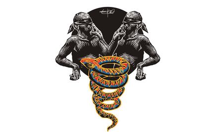 La conexión Peña-Salinas