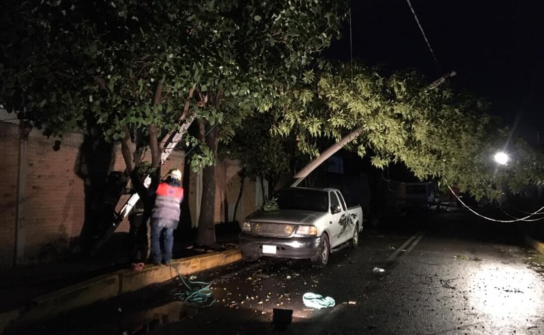 Las fuertes lluvias registradas este jueves en la Ciudad de México dejaron varios árboles tirados. FOTO: Armando Martínez