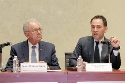 IP aplaude plan de apoyo económico