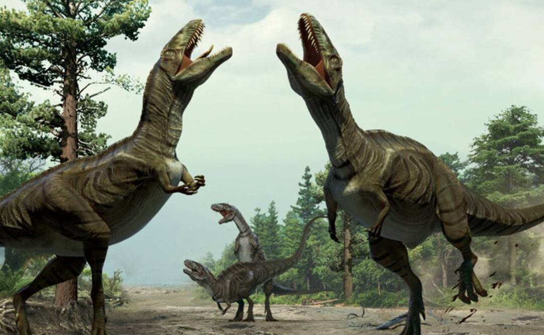 Esa conducta es común hoy en especies de aves. Foto: AP