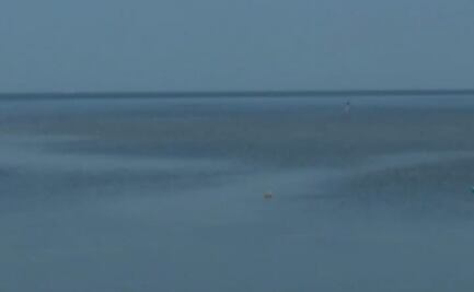 Detectan derrame de petróleo en la Sonda de Campeche; autoridades ambientales investigan procedencia del hidrocarburo