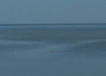 Detectan derrame de petróleo en la Sonda de Campeche; autoridades ambientales investigan procedencia del hidrocarburo