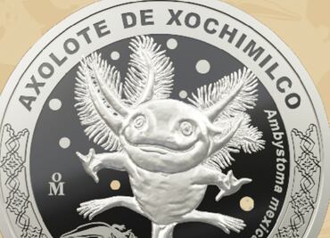 ¡Otro ajolote de colección! Casa de Moneda lanza medalla conmemorativa