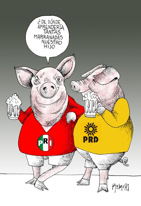 Cartón de KEMCHS