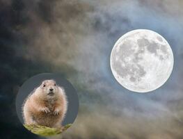 Luna del Castor 2025: ¿por qué se le llama así a la luna más grande del año?