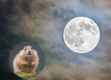 Luna del Castor 2025: ¿por qué se le llama así a la luna más grande del año?