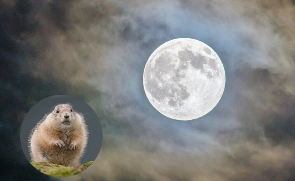 Esta Superluna de Castor será la Luna llena más grande de todo el 2025. Fotos: Pexels