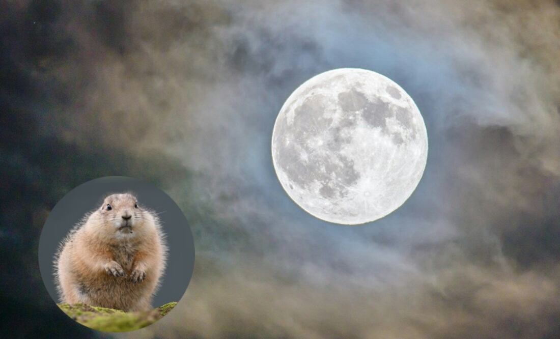 Te contamos acerca del origen del particular nombre que lleva la luna llena de noviembre. Fotos: Pexels