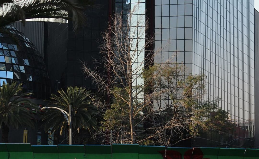 Foto: Samyra Sosa. EL UNIVERSAL