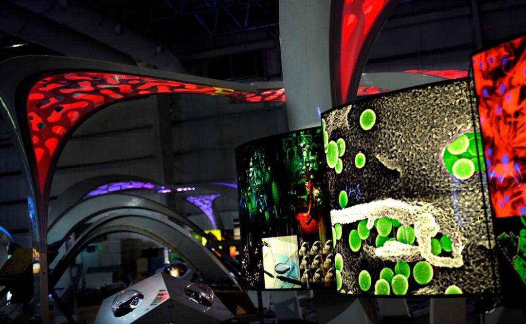 El Túnel de la Ciencia, exposición interactiva sobre mil 200 metros cuadrados, permite adentrarse en los más importantes descubrimientos y avances de la ciencia. (Foto: Cortesía Sociedad Max Planck)