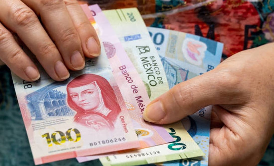 Sesiona Fondo de Pensiones para el Bienestar y aprueba estados financieros. Foto: Pixabay