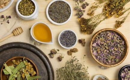 La planta medicinal que ayuda a quitar el dolor tras una cesárea