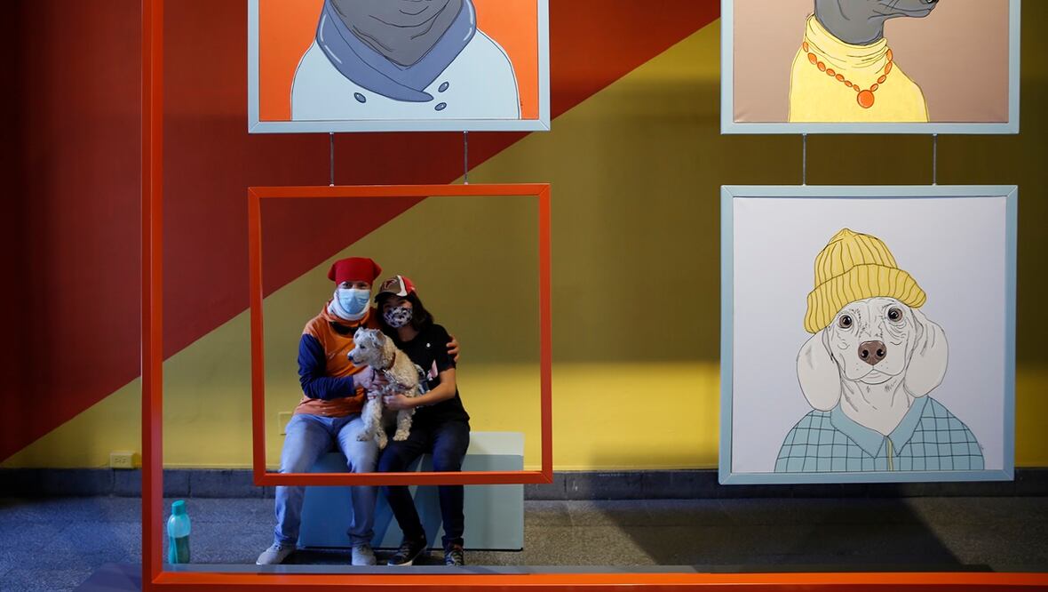 La historia que nos une. Animales de compañía en el arte. Foto: Museo Nacional de San Carlos