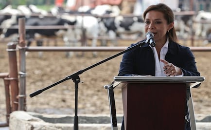 Morena y AMLO no son la opción para el Edomex: Vázquez Mota 