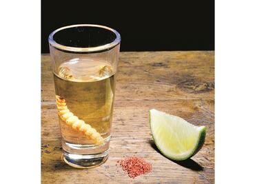 Tequileros de Guadalajara emiten recomendaciones de consumo por Fiestas Patrias