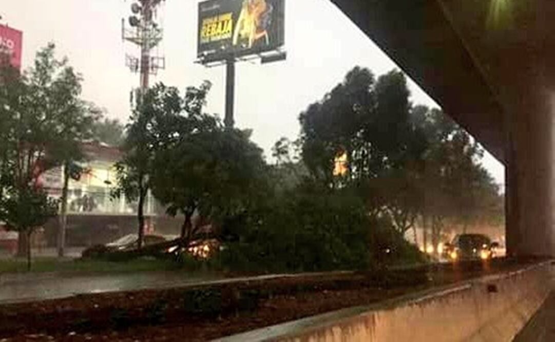 (Foto: Twitter @alertasurbanas)