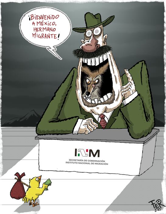 Cartón de FER