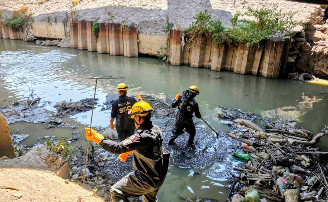 Jornada de búsqueda concluye sin hallazgos en Río de los Remedios y Cerro del Chiquihuite; participan 476 personas.
Foto: Especial.