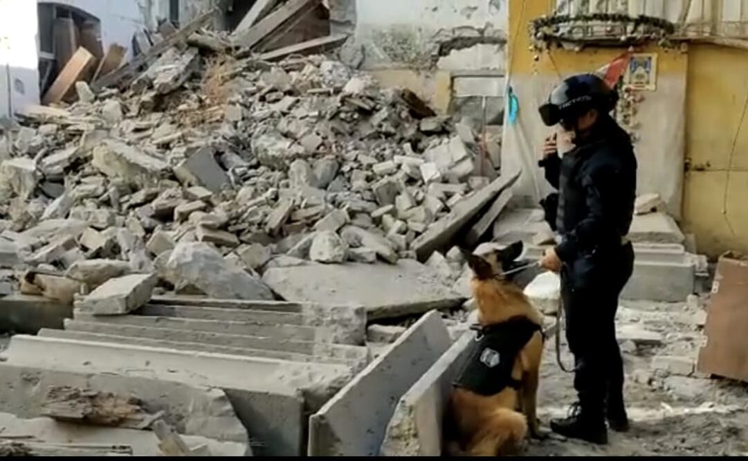 Agentes de la Unidad Canina de la Policía Municipal realizo la búsqueda de posibles víctimas entre los escombros. Foto: Especial