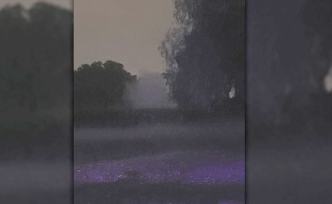 FOTO: especial Quadratin