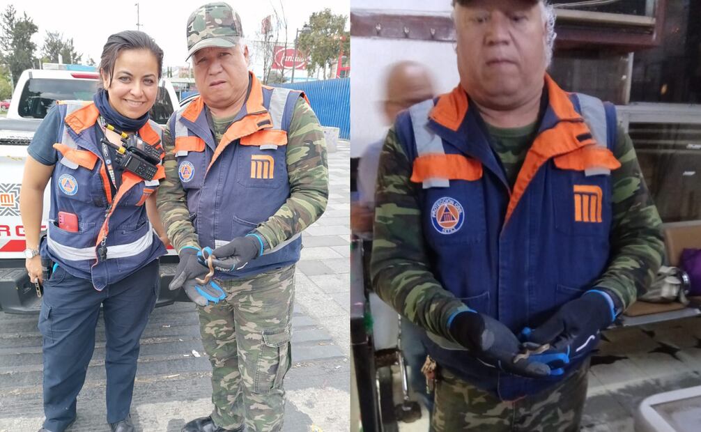 El rescate de la serpiente, de aproximadamente 20 centímetros, se realizó en la estación Buenavista
Foto: Especial.