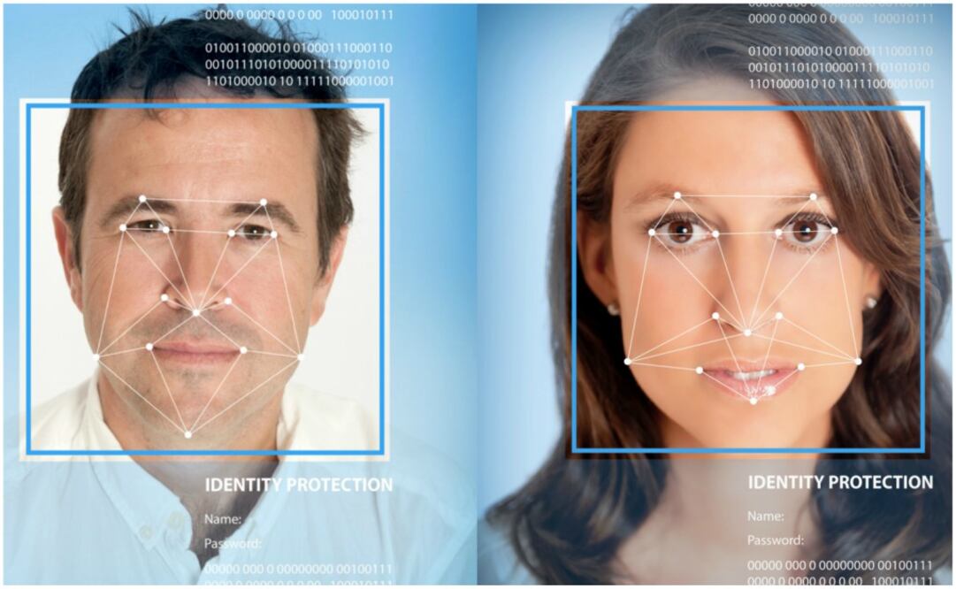 Los participantes se clasificaron en cuatro grupos: mujeres homosexuales, hombres homosexuales, mujeres y hombres heterosexuales.