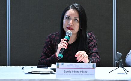 IECM aboga por mayor inclusión en el proceso electoral; “necesario que en los partidos haya acciones a favor de grupos prioritarios”, afirma