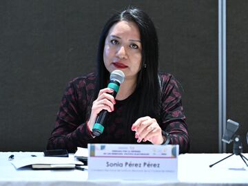 IECM aboga por mayor inclusión en el proceso electoral; “necesario que en los partidos haya acciones a favor de grupos prioritarios”, afirma