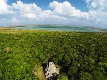 5 viajes exóticos en México para admirar aves en libertad