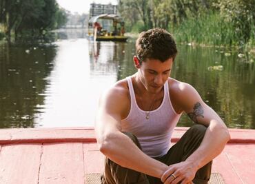 Shawn Mendes ya piensa en comprarse casa en México: "Amo su cultura"