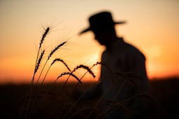 Cuidar el suelo para alimentar el futuro