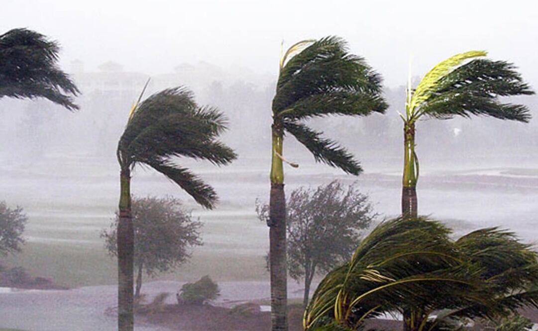 (FOTO: Archivo/EL UNIVERSAL)