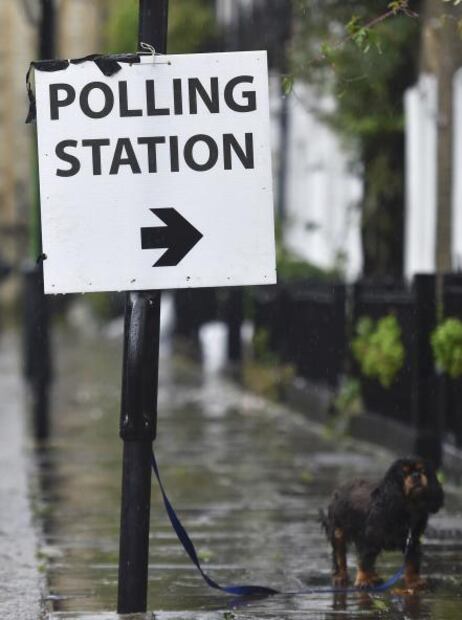 Perros en las casillas, la moda en RU