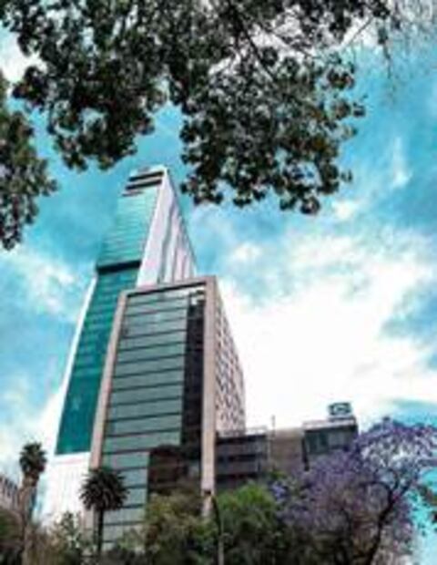 3 cosas que no sabías que podías hacer con la cámara de tu celular