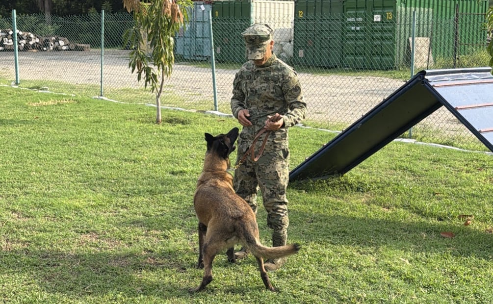 Hermes, elemento canino de la Semar, concluyó su servicio en la Institución, tras siete años y ocho meses. Foto: especial