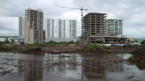 Negar ecocidio en Tajamar es "un insulto a la inteligencia": ONG