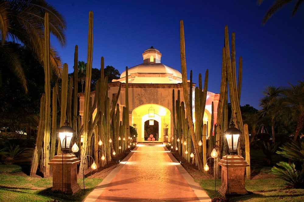 Esta tierra del oro azul surge entre paisajes de cultivos de agave, antiguas haciendas y destilerías que fabrican la bebida embriagante distintiva de México / Foto: Secretaría de Turismo