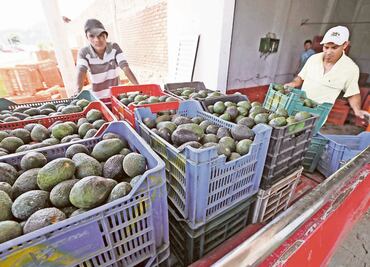 Cierre de frontera EU-México pegará en el estómago a estadounidenses
