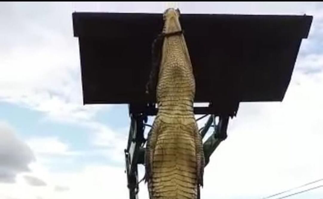 Foto tomada de redes 