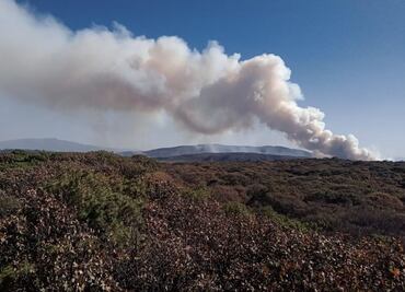 Se registra incendio en el bosque La Primavera en Zapopan, Jalisco