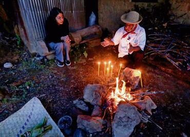 Hongos sagrados: la medicina ancestral que se enfrenta a la despenalización... y al turismo